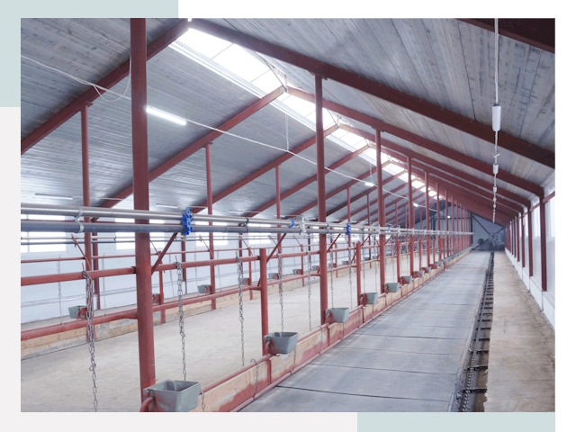 Строительство коровников в Екатеринбурге от 615 руб.