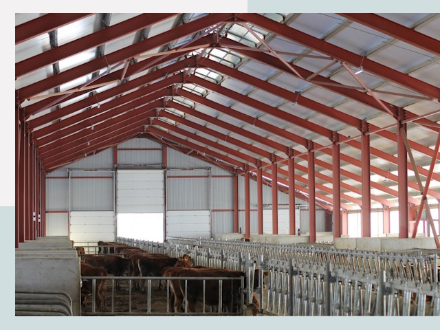 Строительство коровников в Екатеринбурге