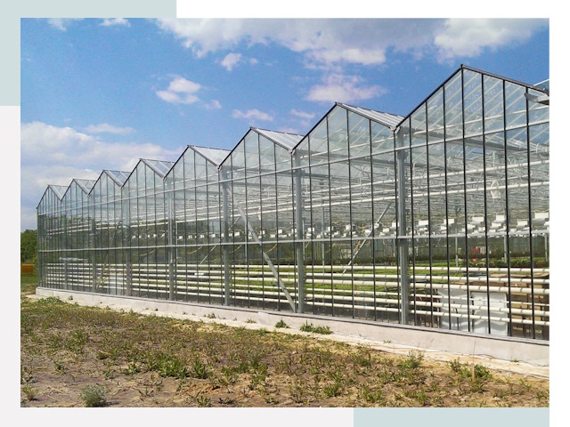 Строительство теплиц в Екатеринбург от 615 руб. за м²